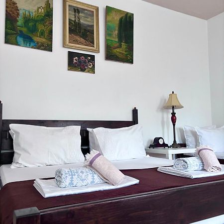 Casa Trandafirilor Ξενοδοχείο Τουλσέα Εξωτερικό φωτογραφία