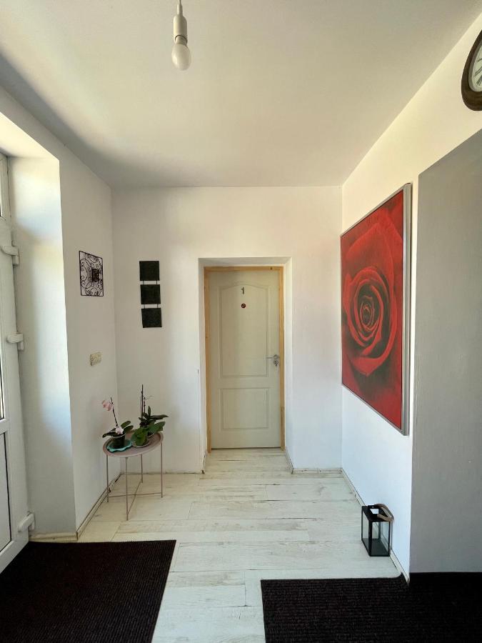 Casa Trandafirilor Ξενοδοχείο Τουλσέα Εξωτερικό φωτογραφία