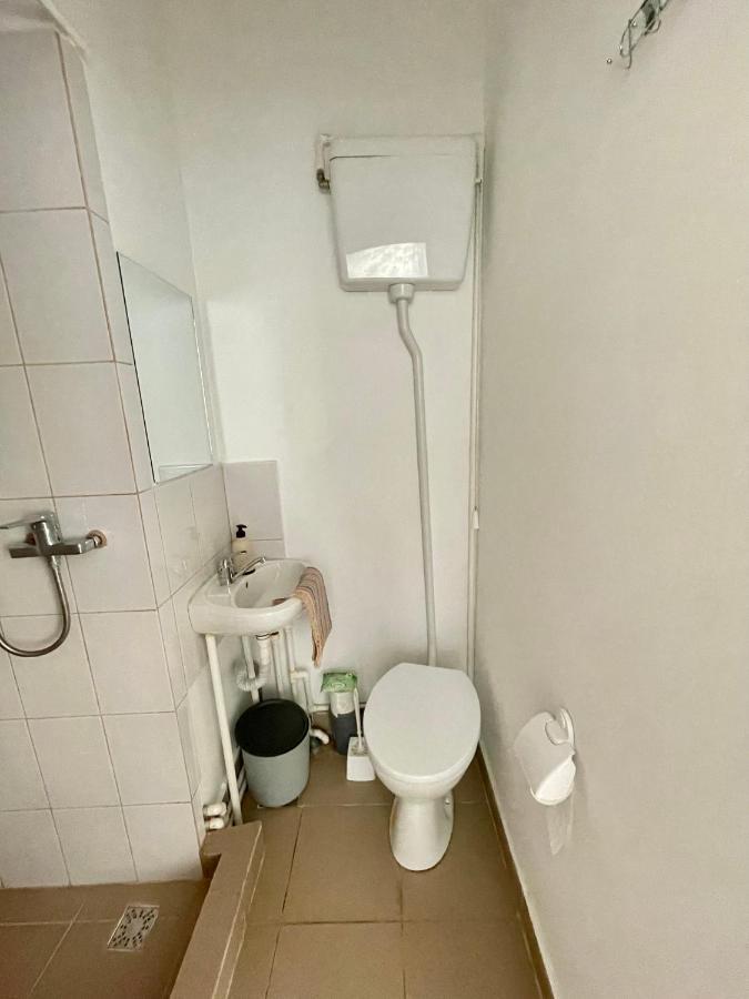 Casa Trandafirilor Ξενοδοχείο Τουλσέα Εξωτερικό φωτογραφία