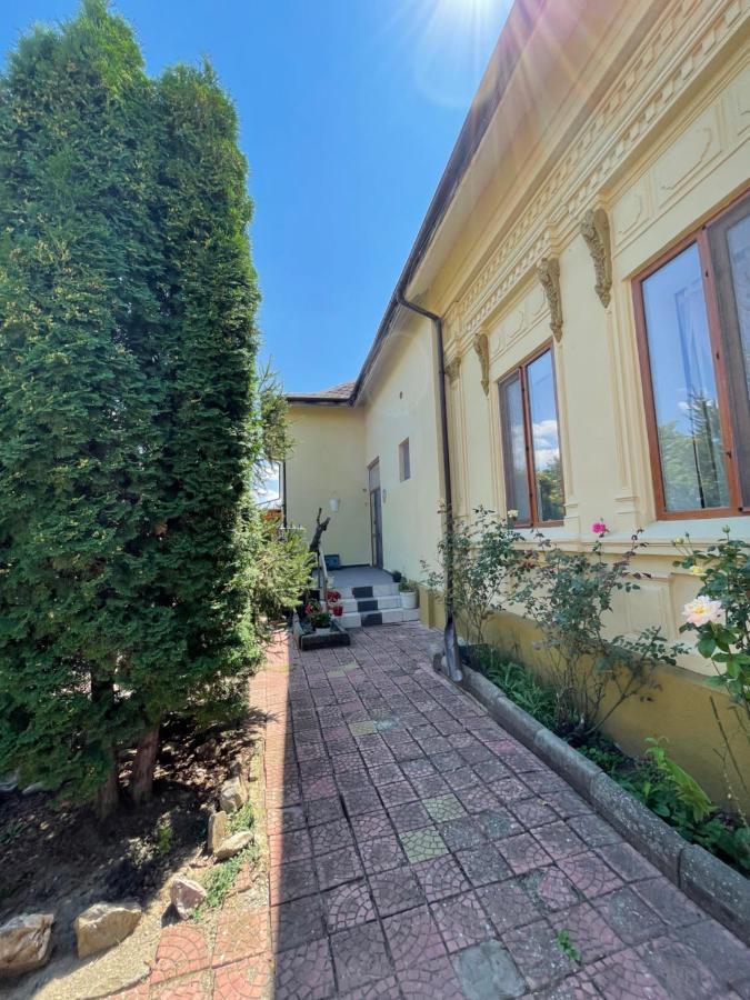 Casa Trandafirilor Ξενοδοχείο Τουλσέα Εξωτερικό φωτογραφία