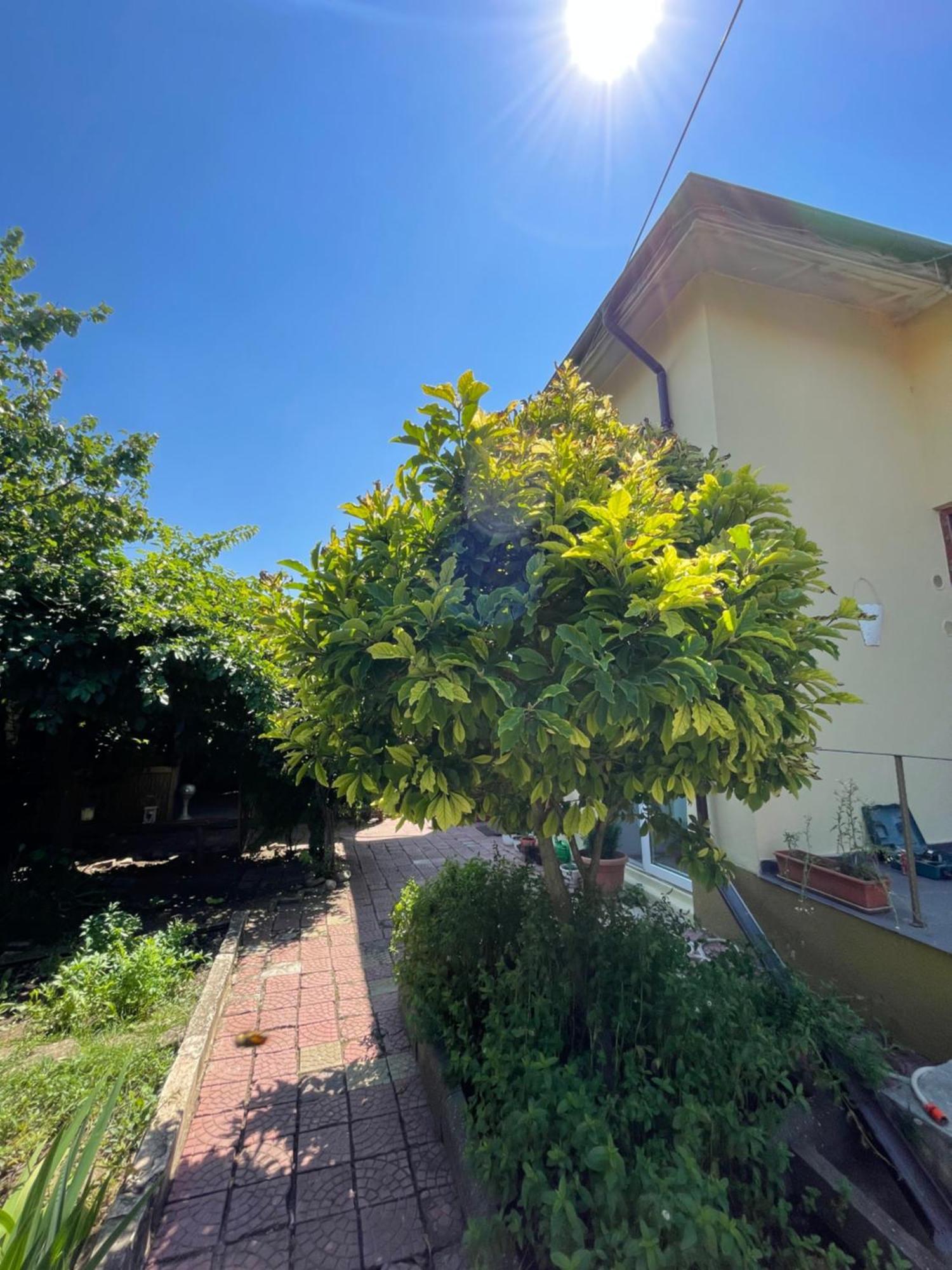 Casa Trandafirilor Ξενοδοχείο Τουλσέα Εξωτερικό φωτογραφία