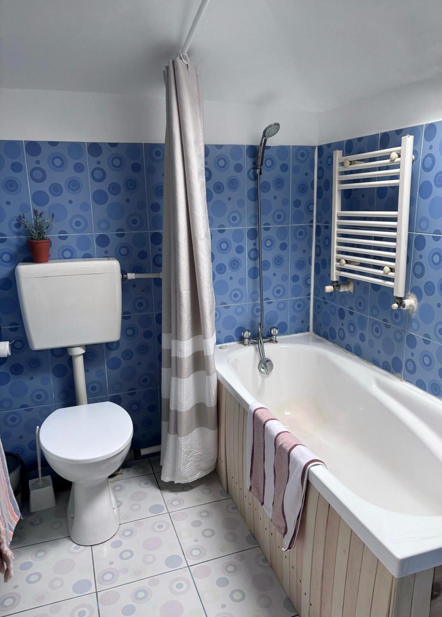 Casa Trandafirilor Ξενοδοχείο Τουλσέα Εξωτερικό φωτογραφία