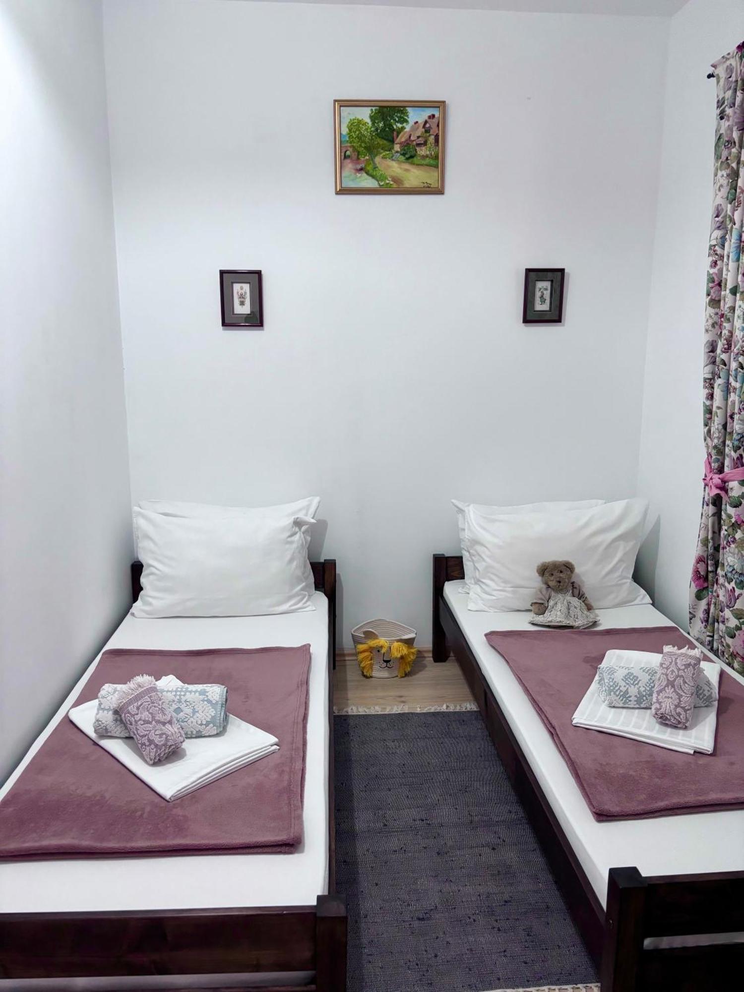 Casa Trandafirilor Ξενοδοχείο Τουλσέα Εξωτερικό φωτογραφία
